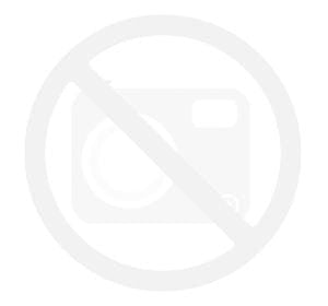 Gojnik herbata górska 200g